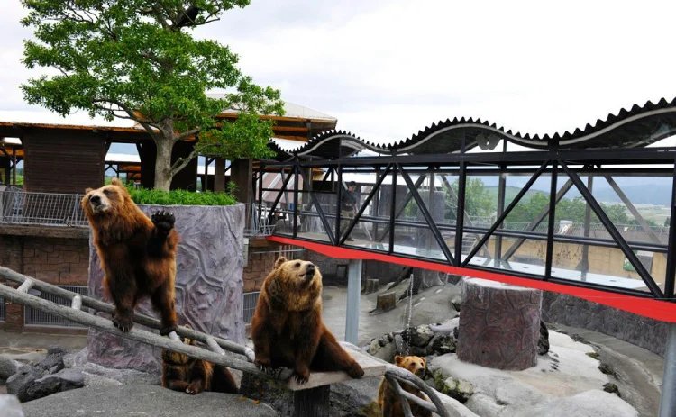 🏞️ 아소 커들리 도미니언 이미지 5